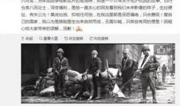东莞外卖爆料事件始末视频,真相与争议的交织