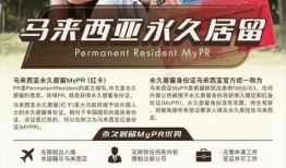 大马公民爆料是真的吗视频,大马公民爆料视频真实性揭秘