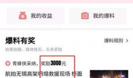 临沂爆料今日头条视频,今日头条视频揭示惊人真相！