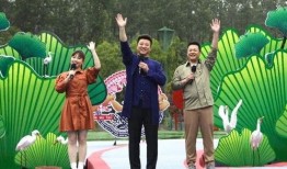 鲁迅最新爆料新闻视频播放,揭秘历史真相，视频播放引发热议