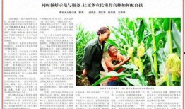 911爆料 今日瓜报,今日瓜报大揭秘