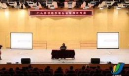 金湾新闻爆料,揭秘重大事件背后真相