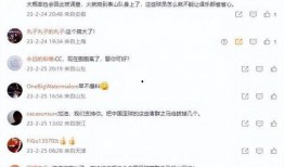 陈晨爆料假球视频播放在线观看,独家视频直播带你直击球场黑幕