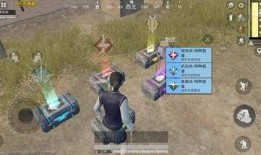 吃鸡衣服最新爆料,揭秘最新爆料中的吃鸡衣服潮流趋势