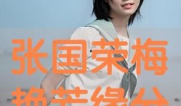 缘份在线观看,跨越时空的浪漫邂逅