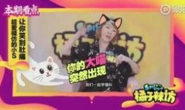 超有梗爆料的视频,笑料横飞，笑到肚子疼！