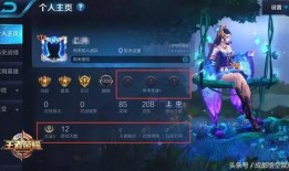 王者师叔爆料视频大全,揭秘游戏幕后精彩瞬间