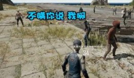 绝地求生陪玩爆料视频,爆料视频深度解析