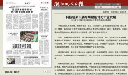 杭州日报热点爆料新闻事件,揭秘杭州最新热点爆料事件背后的真相