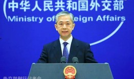 汪文斌爆料成蕾视频,真相背后引人深思”