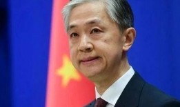 汪文斌爆料成蕾视频,真相背后引人深思”