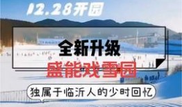 临沂爆料今日头条视频,今日头条视频揭示惊人真相！