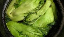 老谭酸菜爆料现场视频,揭秘行业黑幕