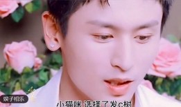 华夏良子真实爆料视频大全,真实爆料视频大盘点