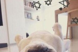 王心凌新闻爆料最新视频,揭秘背后惊人真相