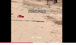 爆料孩子溺亡视频,孩子溺亡视频引发社会关注