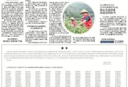 鹤山市爆料新闻最新,最新爆料揭示惊人真相
