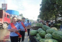 椒江吃瓜最新事件爆料新闻,最新爆料揭露惊人内幕