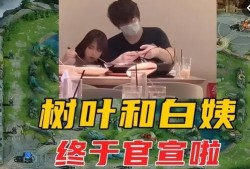 白姨视频爆料,娱乐圈惊人内幕大曝光