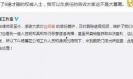 深度爆料王思聪视频播放,深度爆料视频幕后真相