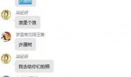 超有梗爆料的视频,笑料横飞，笑到肚子疼！